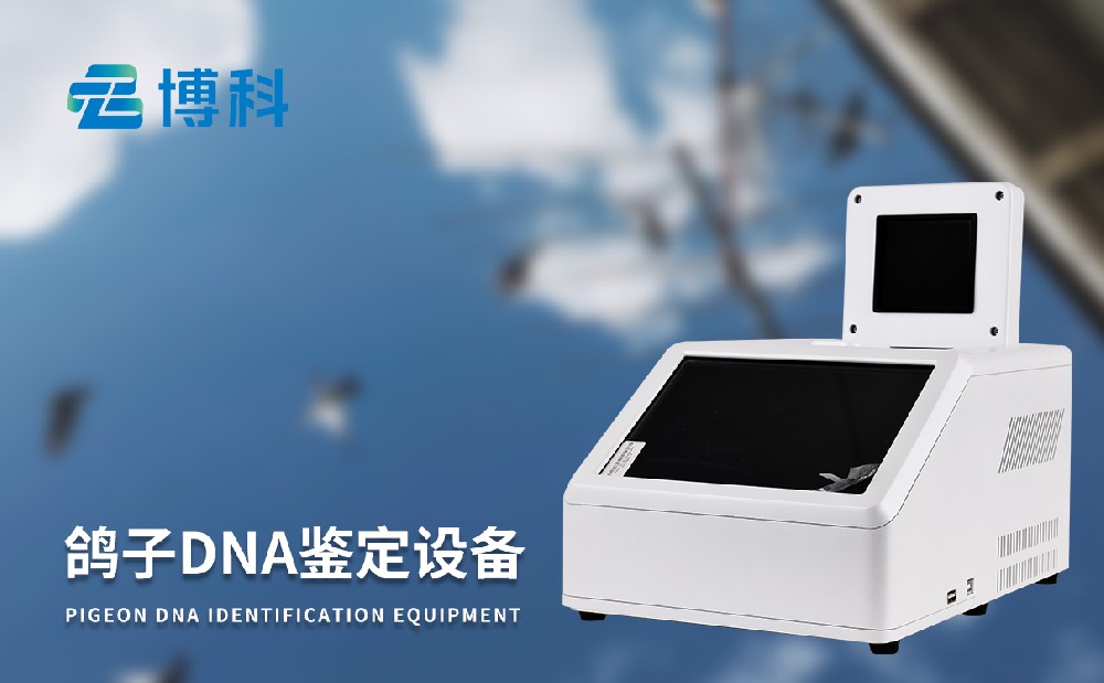 鴿子dna鑒定設備