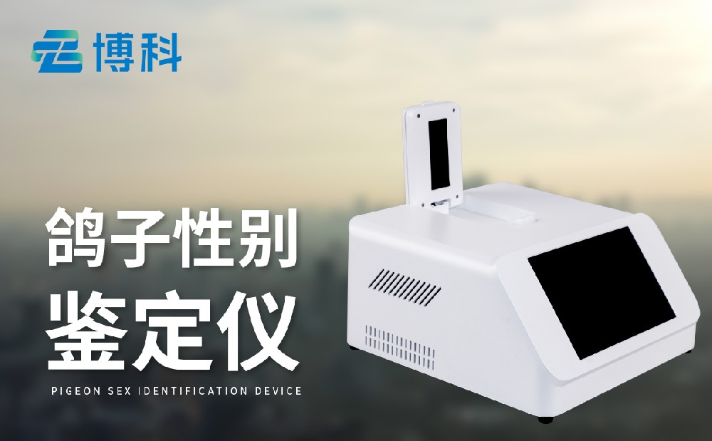 鴿子公母檢測儀
