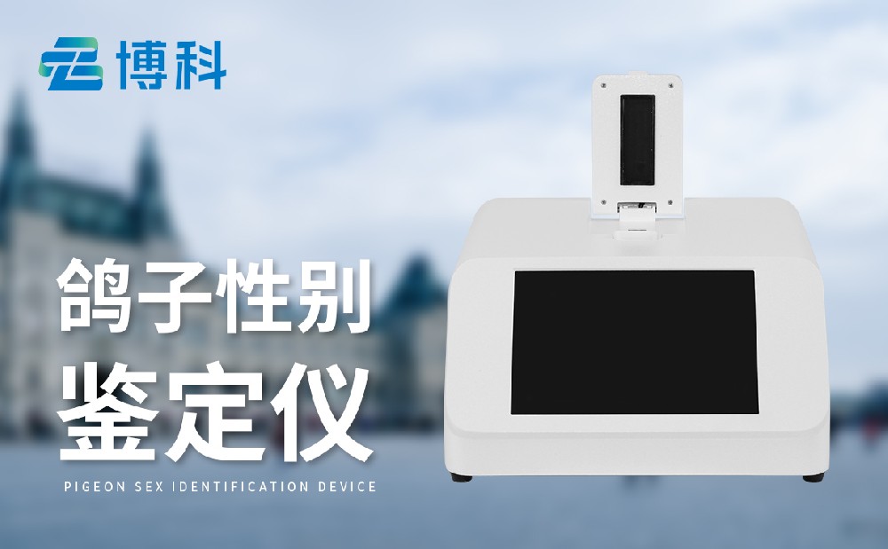 鴿子性別檢測儀